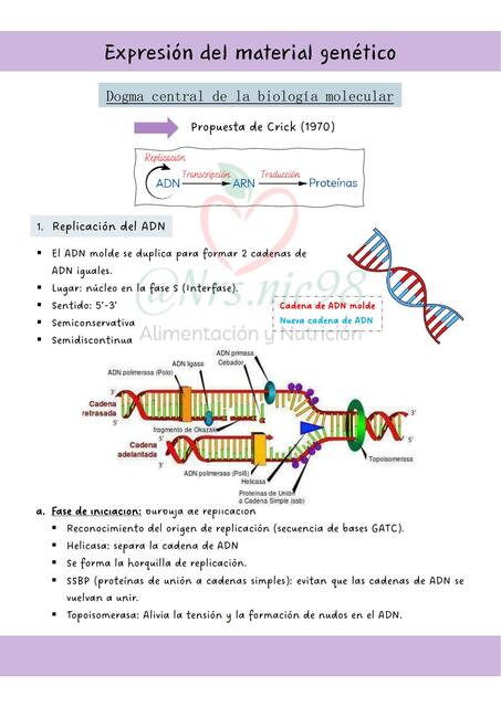 BIOLOGÍA MOLECULAR