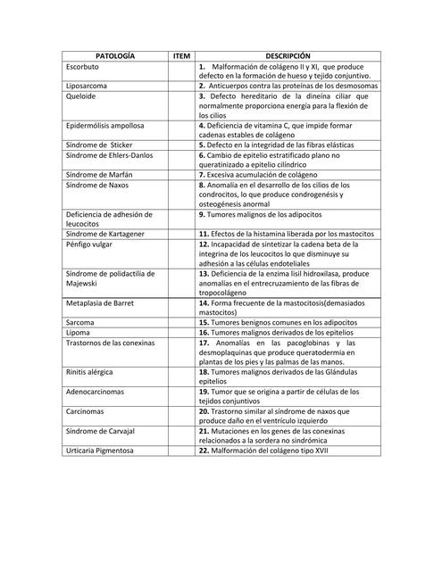 APAREAMIENTO DE PATOLOGÍAS CONECTIVO Y EPITELIAL