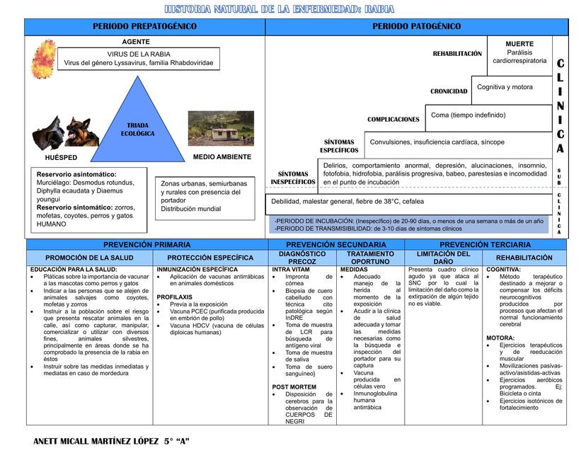 HISTORIA NATURAL DE LA ENFERMEDAD RABIA