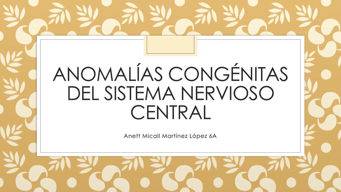 ANOMALÍAS CONGÉNITAS DEL SISTEMA NERVIOSO CENTRAL