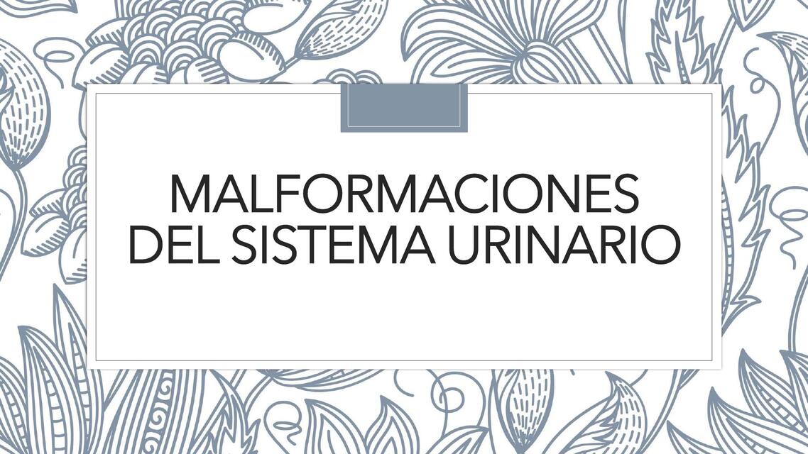 malformaciones de SISTEMA URINARIO