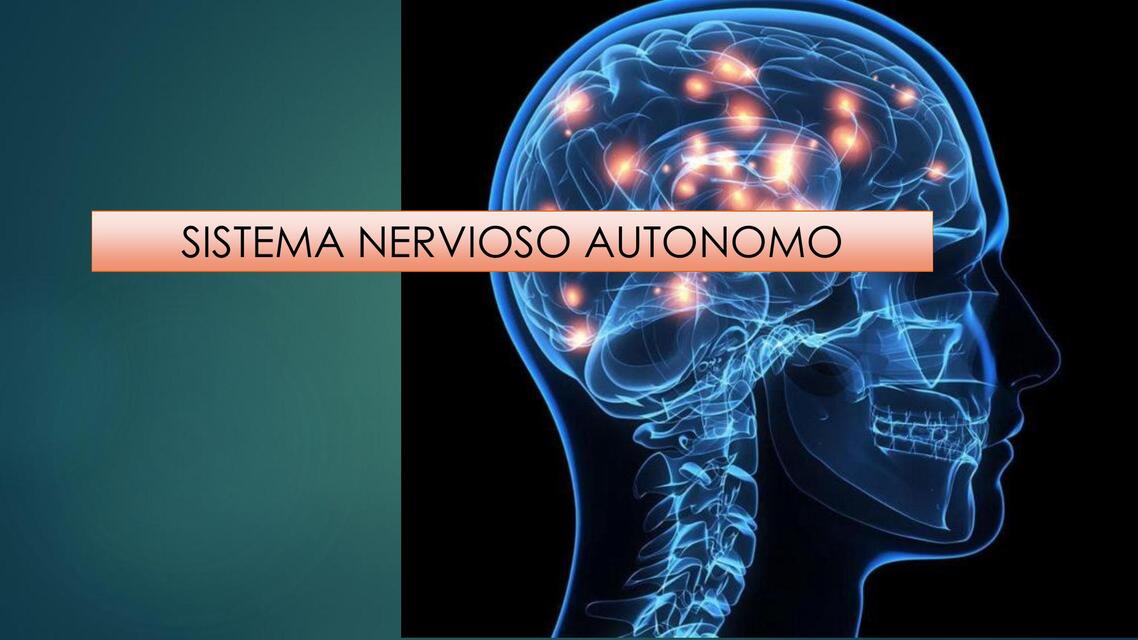 TEMA 4 SISTEMA NERVIOSO AUTONOMO 1