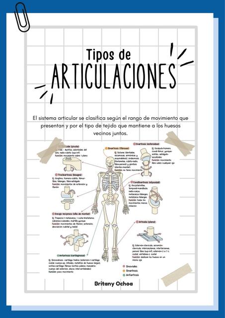 Tipos de articulaciones