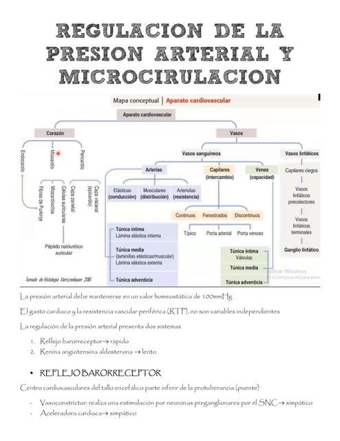 Regulación de la presión arterial