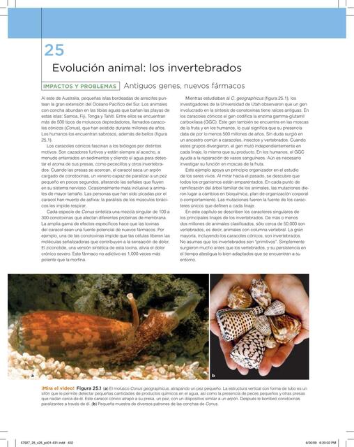 Texto Animales todos los phyla