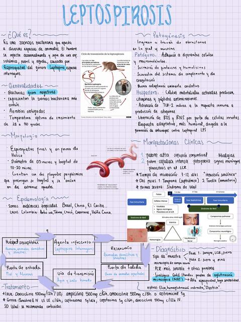 Leptospirosis