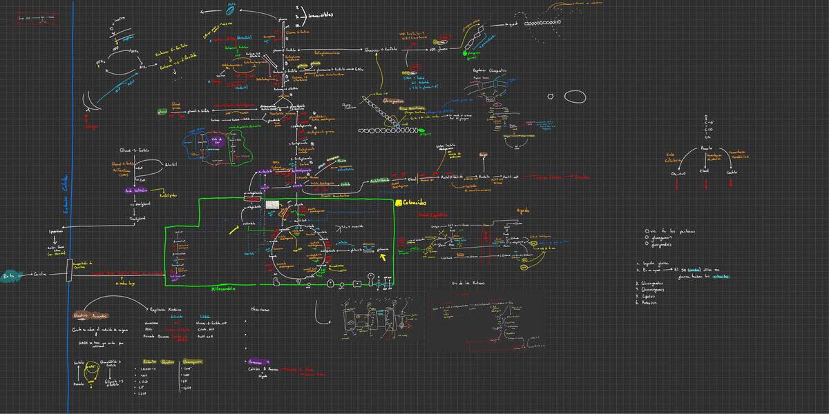Metabolismo Diagrama general