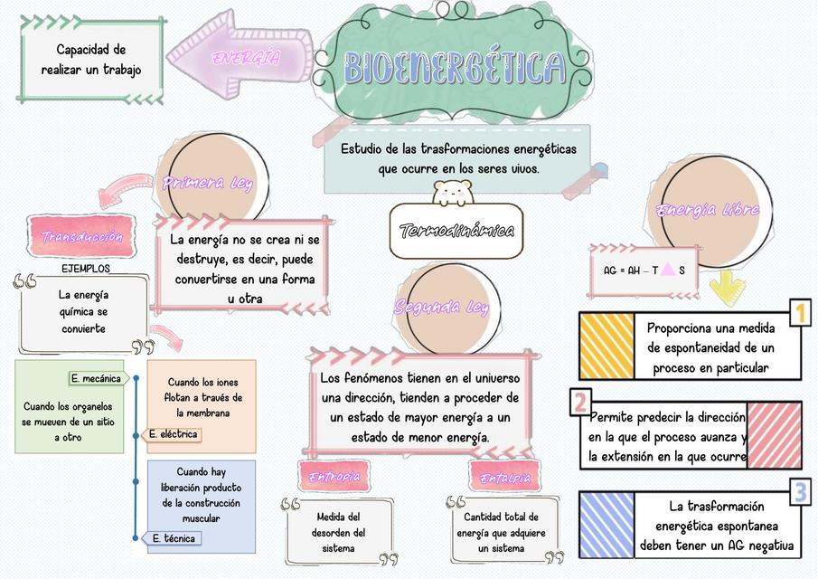 Enzimas y bioenergía