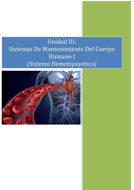 Unidad III. Sistema Hematopoyético