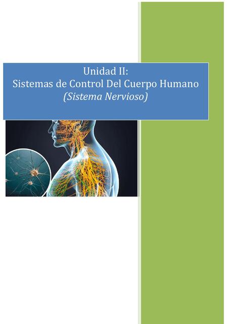 Unidad II. Sistema Nervioso