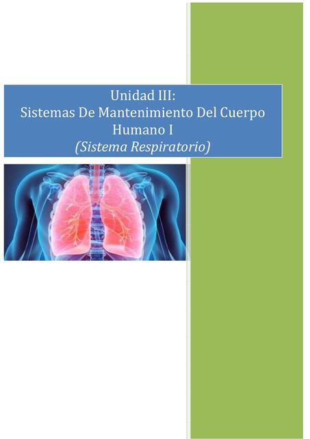 Unidad III. Sistema Respiratorio