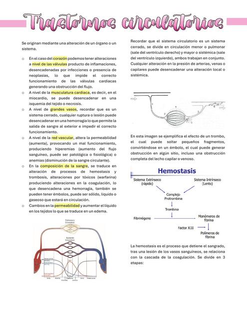 Trastornos circulatorios