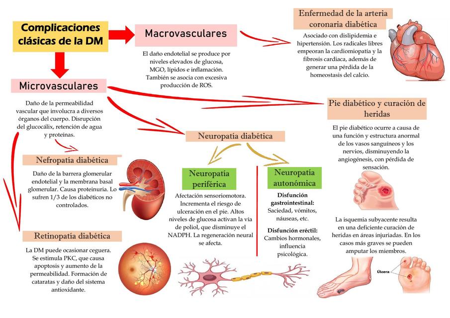 Complicaciones clásicas de la DM