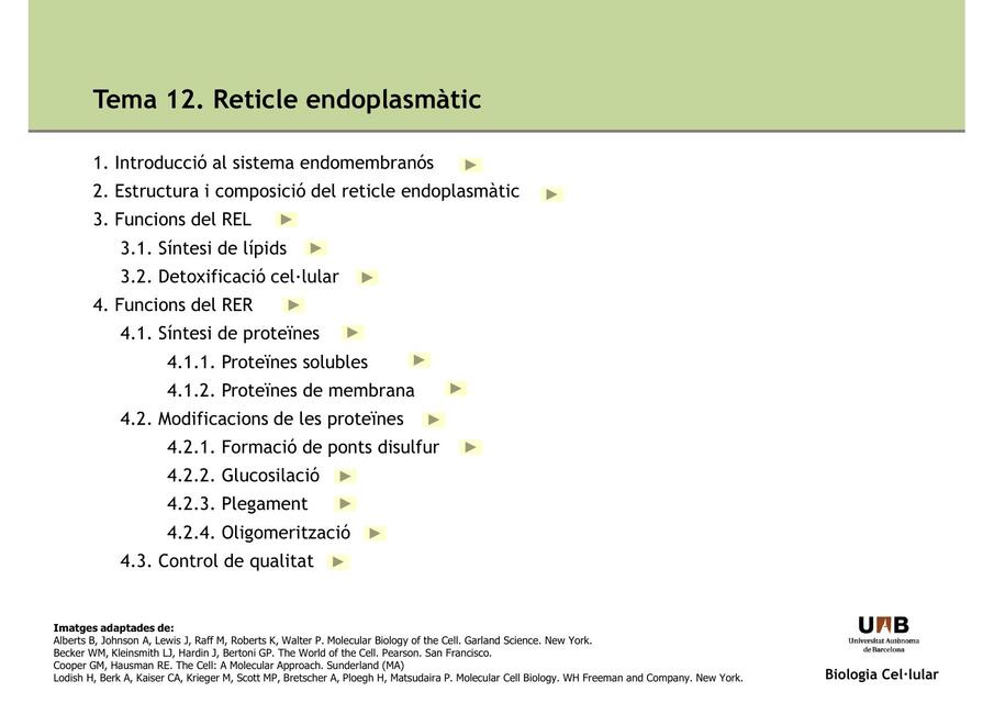 Tema 12 Reticle endoplasmtic