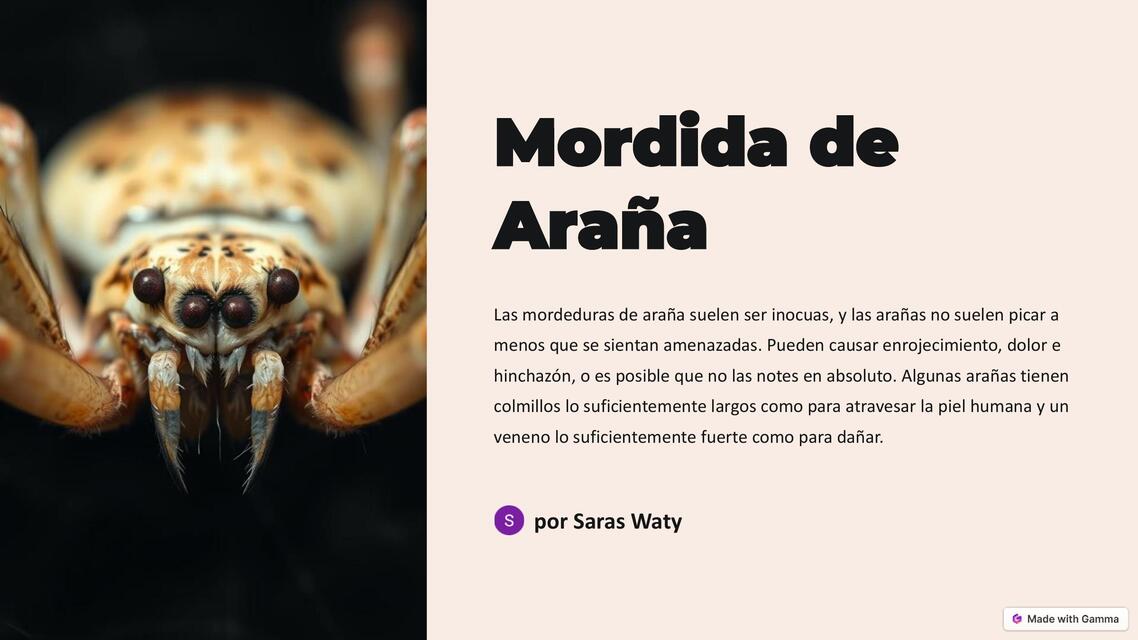 Mordida de Arana