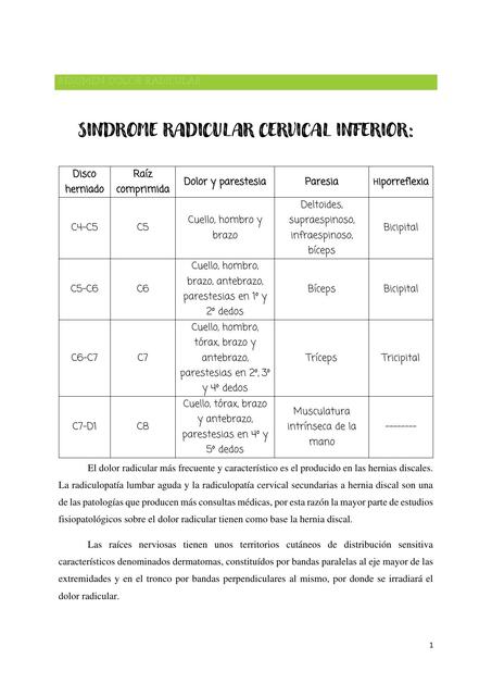 resumen sindromes radiculares