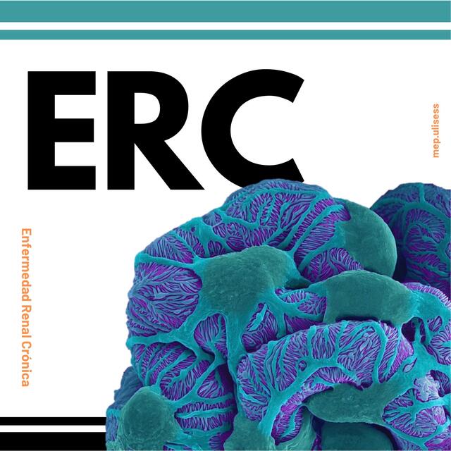 Enfermedad renal crónica