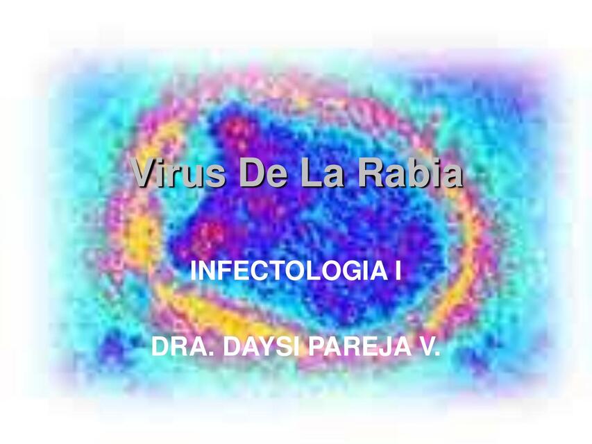 RABIA INFECTOLOGIA II