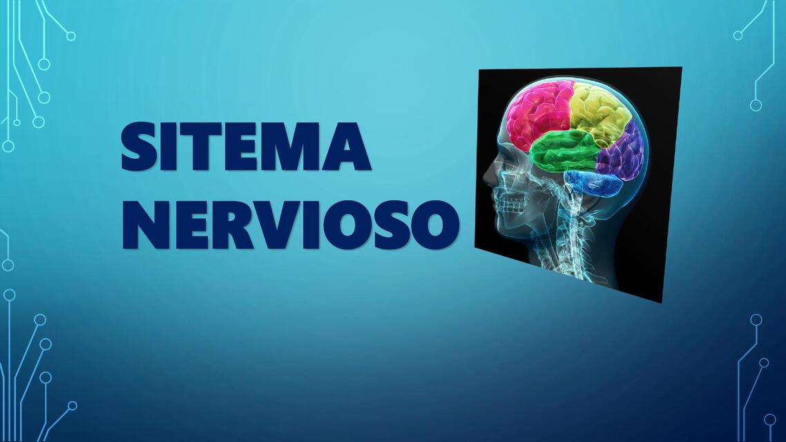 SISTEMA NERVIOSO