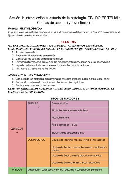 TEJIDO EPITELIAL HISTOLOGIA