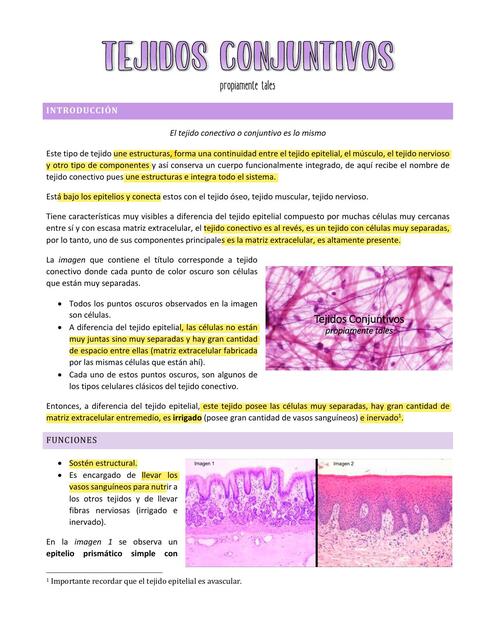 Clase 3 Tejidos conectivos pptal