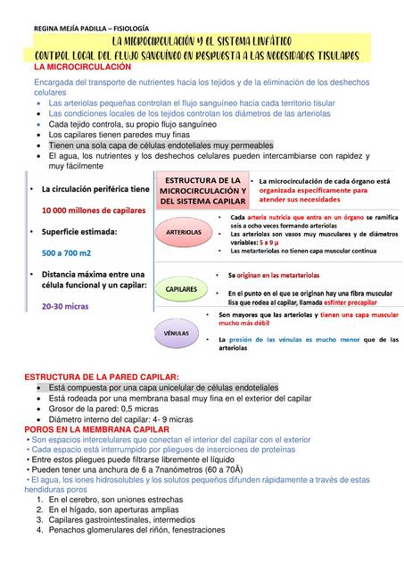 LA MICROCIRCULACIÓN Y EL SISTEMA LINFÁTICO