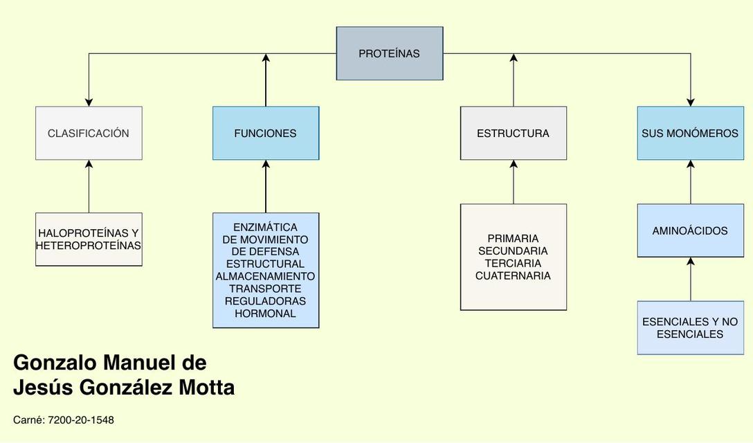 PROTEÍNAS MAPA CONCEPTUAL | uDocz