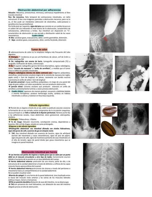 8 placa simple de abdomen signos patologicos