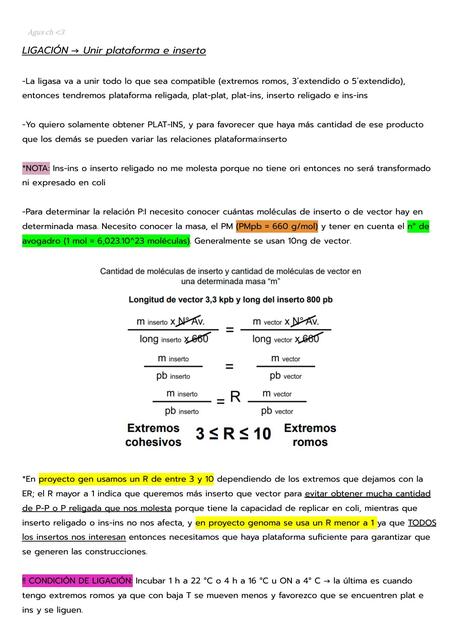 Ligación y transferencia horizontal - Ing. Genética I