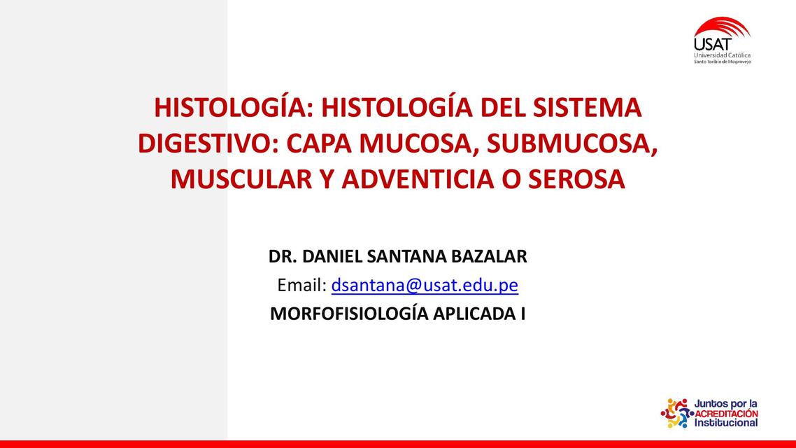 Histología del sistema digestivo Capa mucosa submu