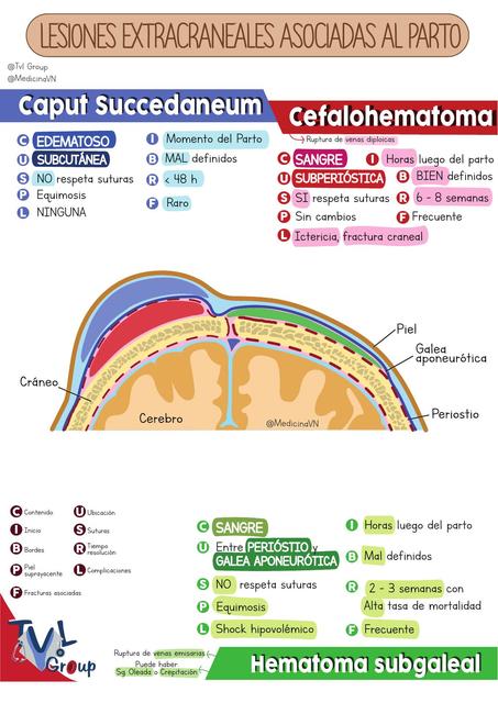 Lesiones Ext