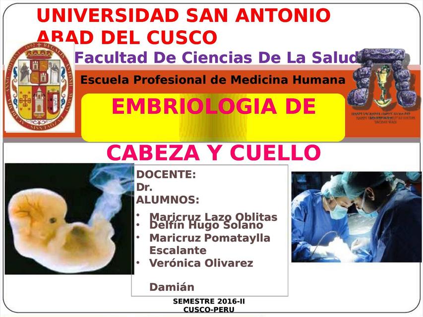Embriologia cabeza y cuello | Johana Trujillo | uDocz