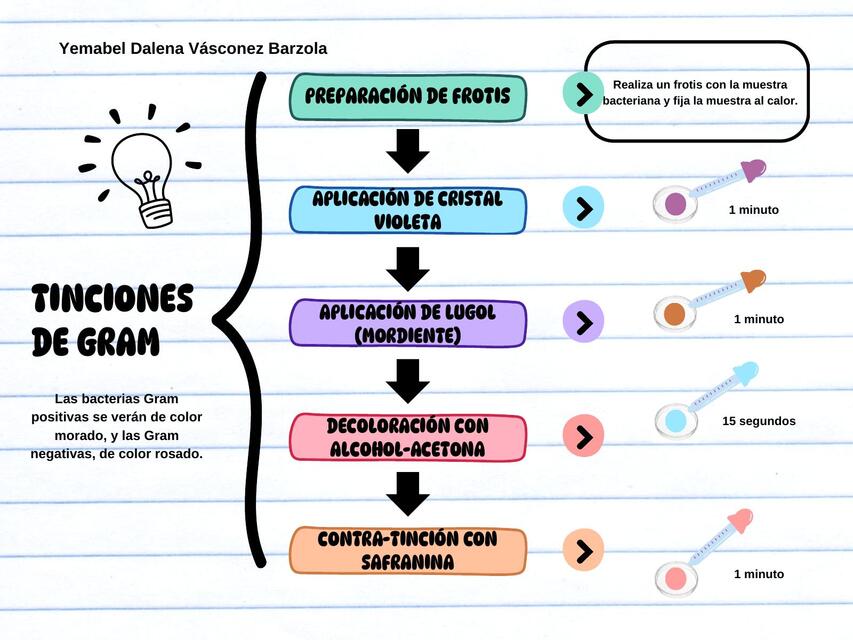 Tinciones 1