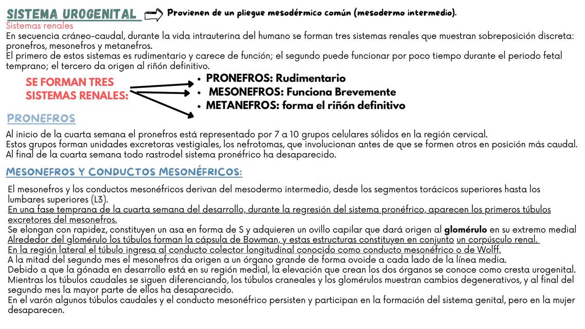 UNIDAD 8 EMBRIOLOGÍA resumen