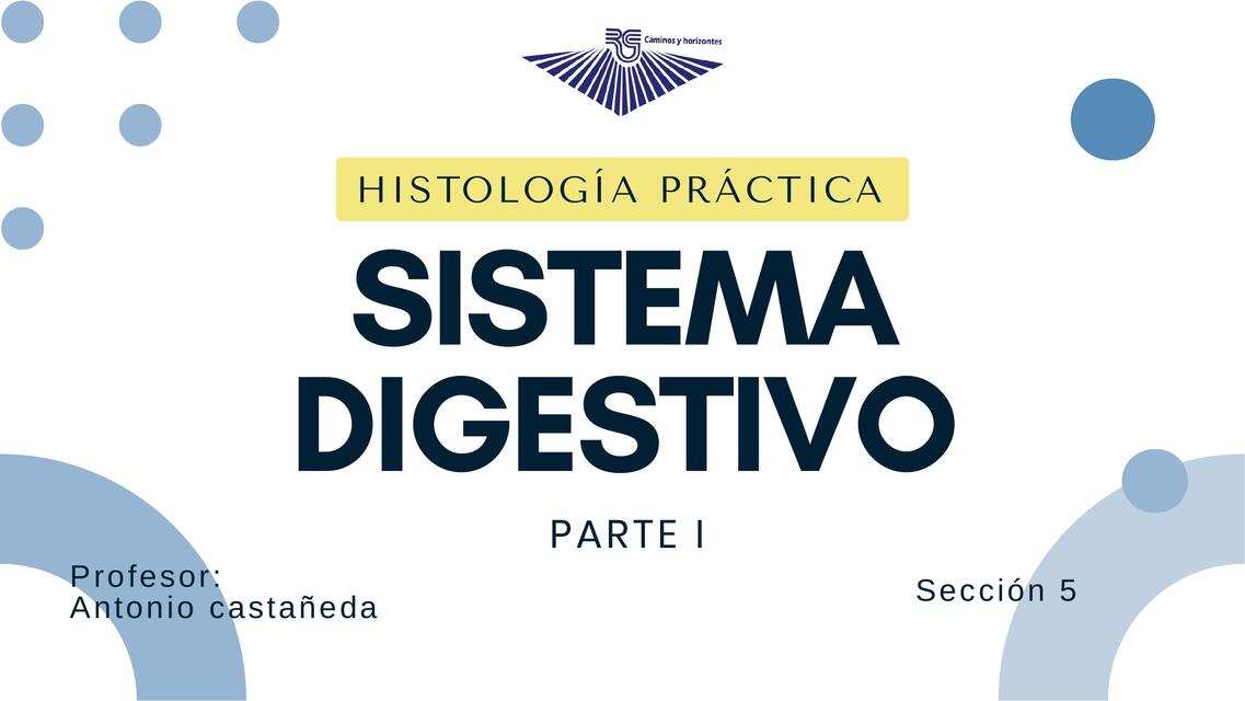 sistema digestivo parte I Histologia práctica