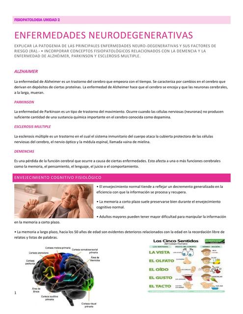 Fisiopatología Alzheimer