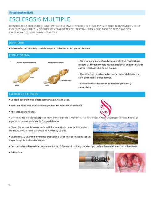 Fisiopatología esclerosis