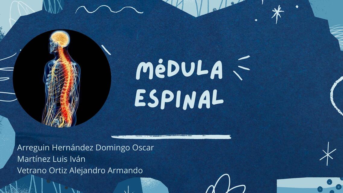 Médula espinal y sindromes medulares