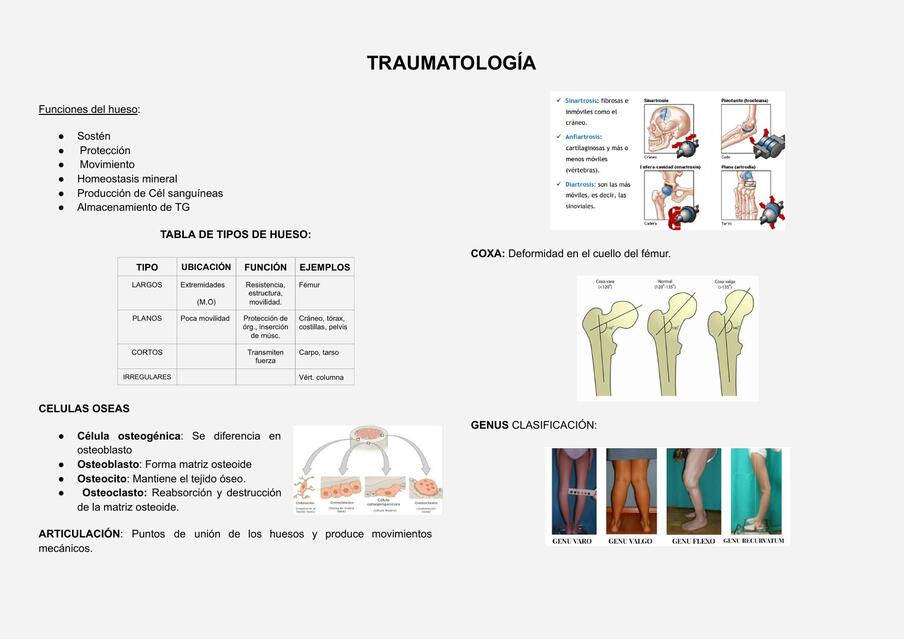 Traumatología