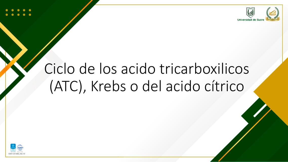 Clase 3 Ciclo de los ácidos tricarboxílicos ATC