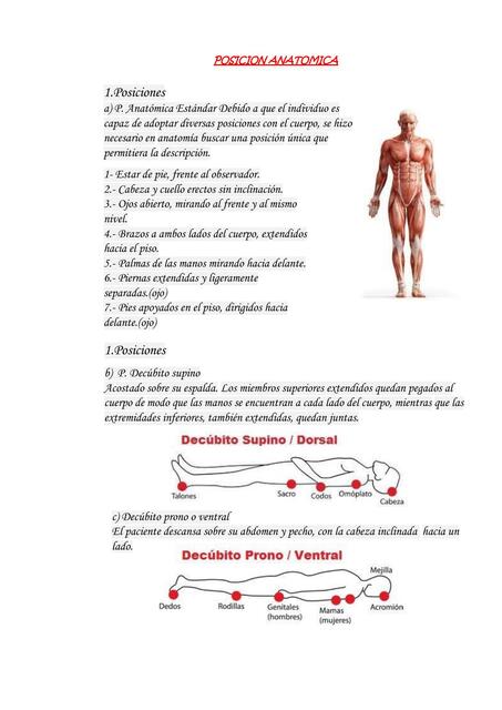 POSICION ANATOMICA