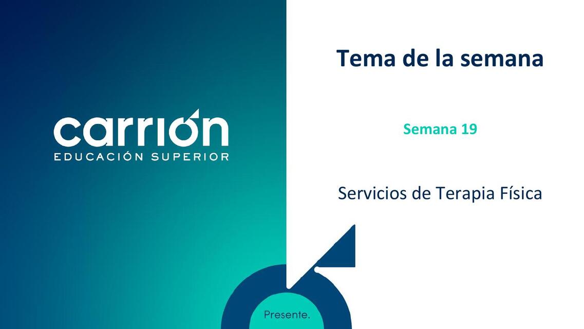 PSA19 FR II Servicios de terapia fisica