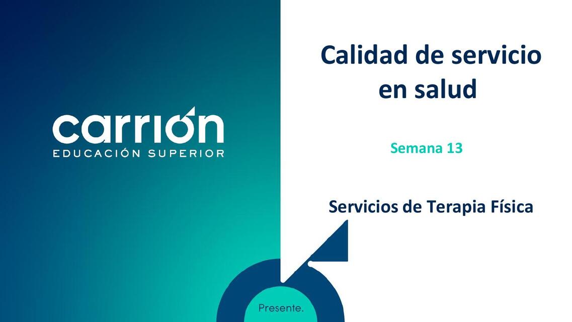 PSA13 FR II Servicios de Terapia fisica