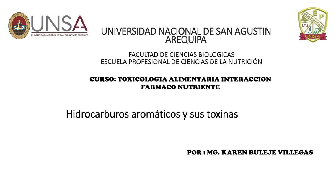 10 1 Hidrocarburos aromáticos y sus toxinas