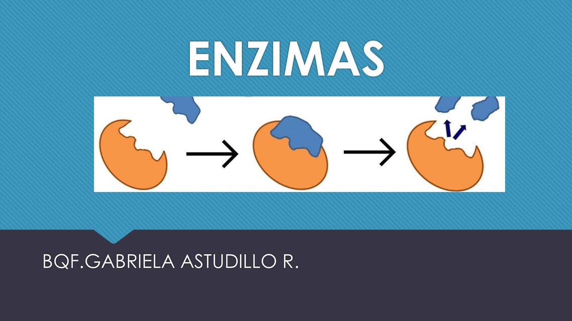 Enzimas