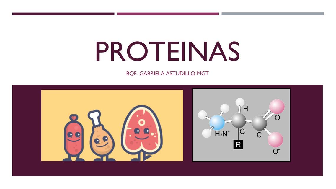 PROTEINAS 2