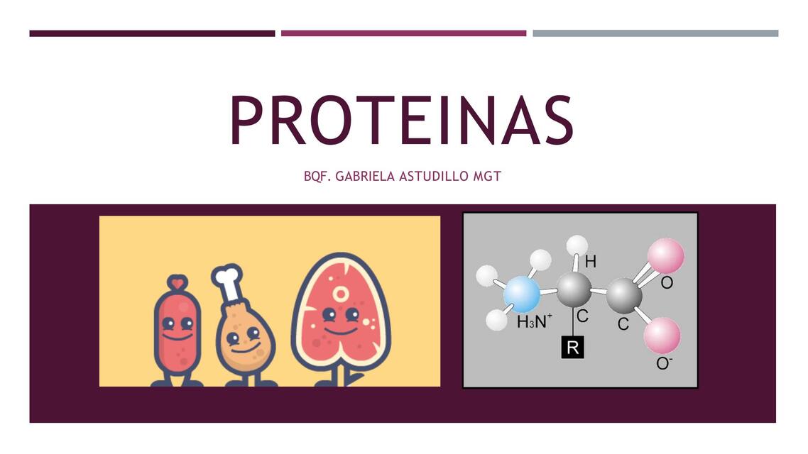 PROTEINAS 2