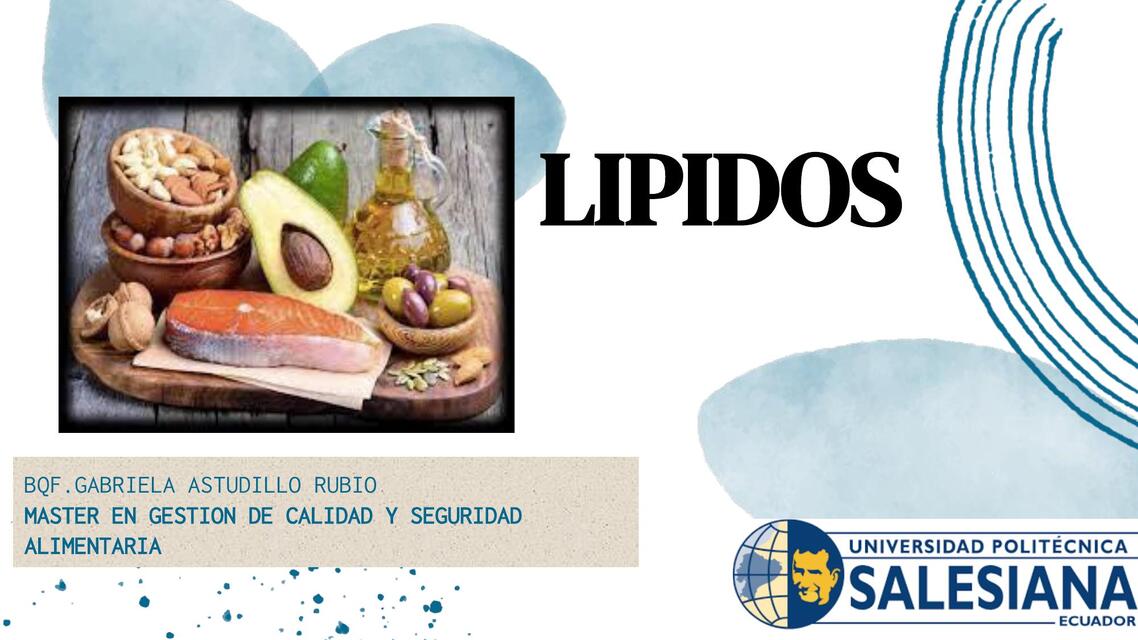 Lipidos 2