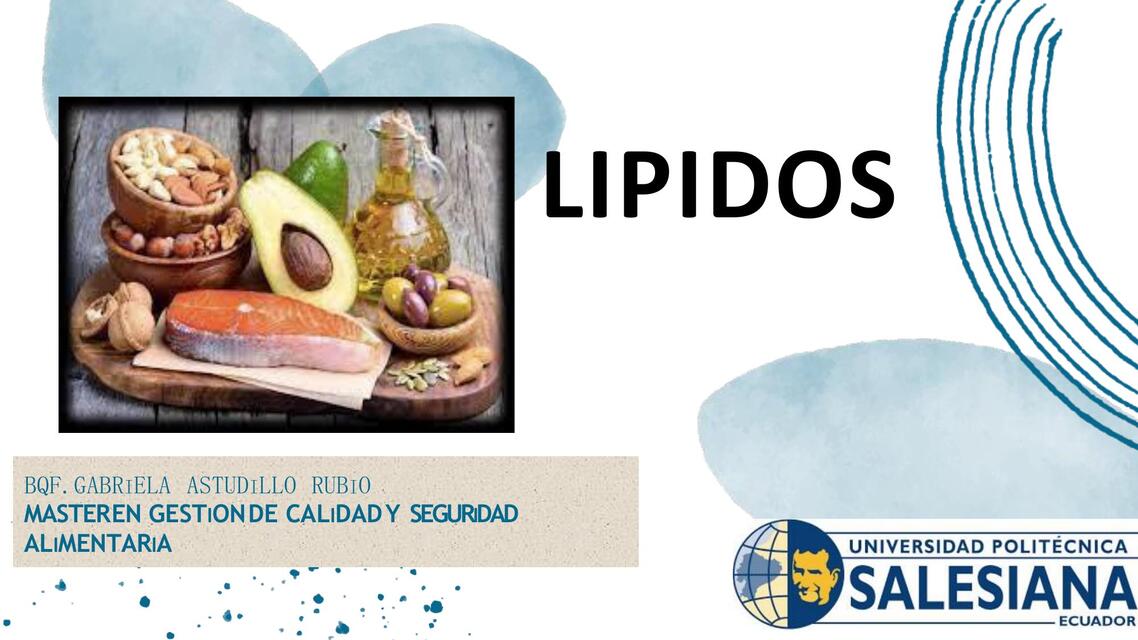 Lipidos 2