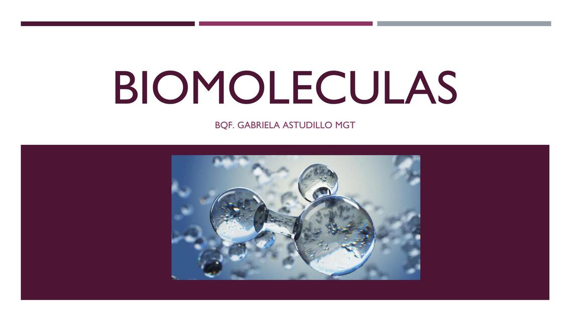 bIOMOLECULAS p65